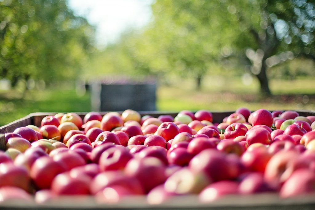 EGalim et produits labellisés : état des lieux en restauration collective