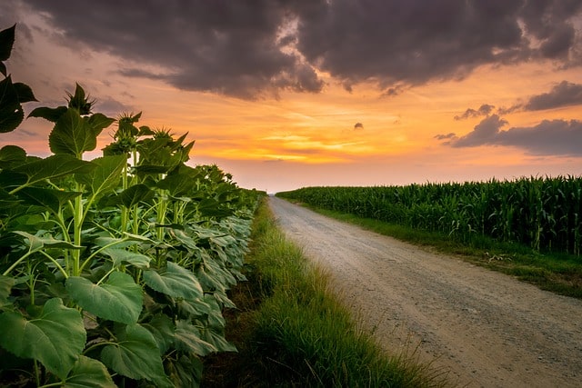 Projets alimentaires territoriaux (PAT) : enjeux et bilan